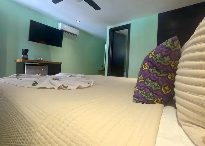 Parti Gras Hotel&villas En Playa Hotel